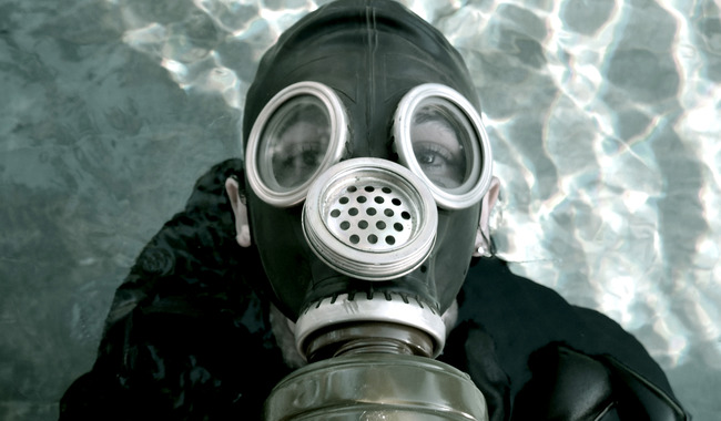 post_Planeta_Complejo__diversidad_1