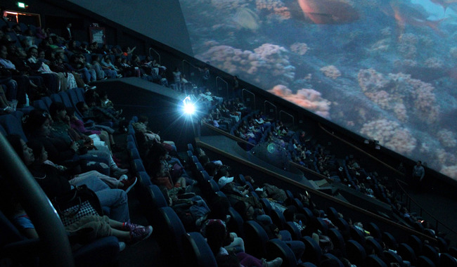 post_WhatsApp_Image_2026-01-16_at_5.26.33_PM