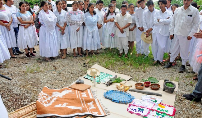 post_WhatsApp_Image_2026-02-11_at_1.32.15_PM