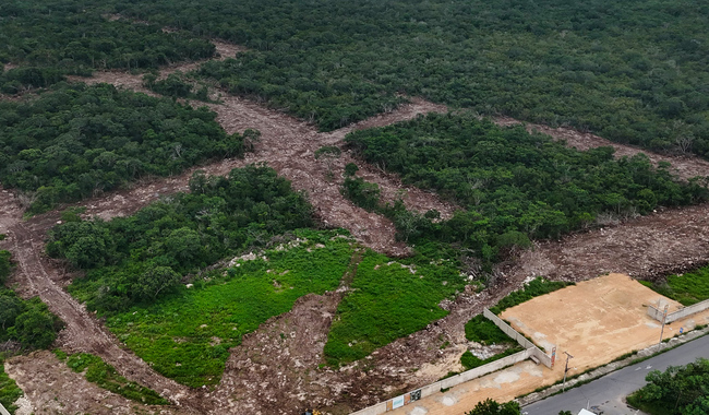 post_Clausura_predio_Yucatan_02