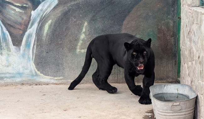 post_Ejempla_aseg_Qro_02