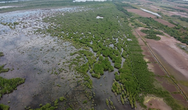post_SamuelVelazquezS_Degradacion_Restauracion_