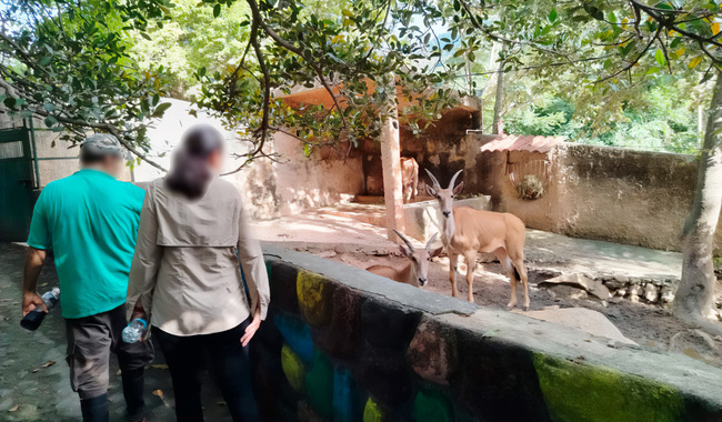 post_Zoo_Puerto_Vallarta_002