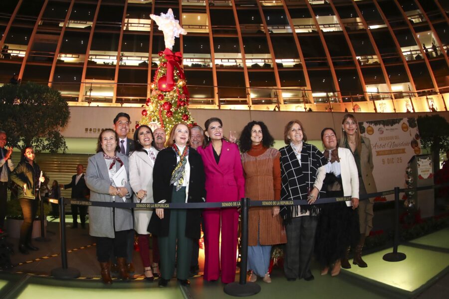 Enciende Laura Itzel Castillo Árbol de Navidad del Senado
