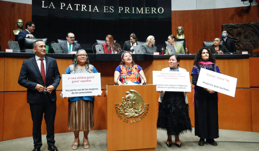 “Es momento de despertar a las lenguas indígenas”, expresa ante el Pleno Anabel Anota, traductora zapoteca