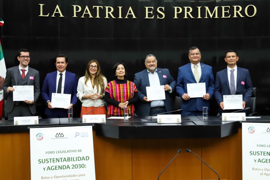 Amalia García llama a brindar condiciones específicas para apoyar al campo y garantizar la alimentación