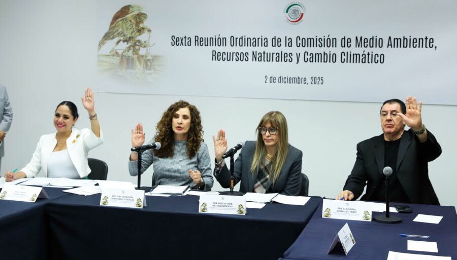 Comisión de Medio Ambiente en el Senado aprueba reforma para combatir incendios forestales